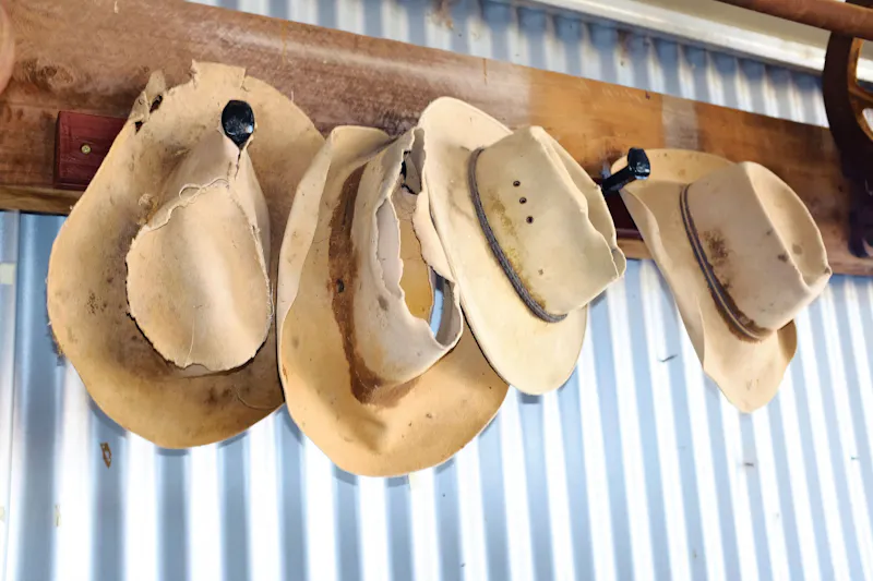 HDAustralienQLDOutbackCharleville Huete 129568 EzraPatchett TEQ
