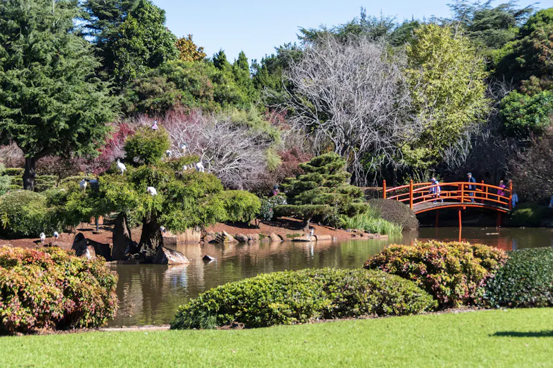 HDAustralienQLDOutbackToowoomba JapaneseGardens 150352 CourtneyAtkinson AWOL