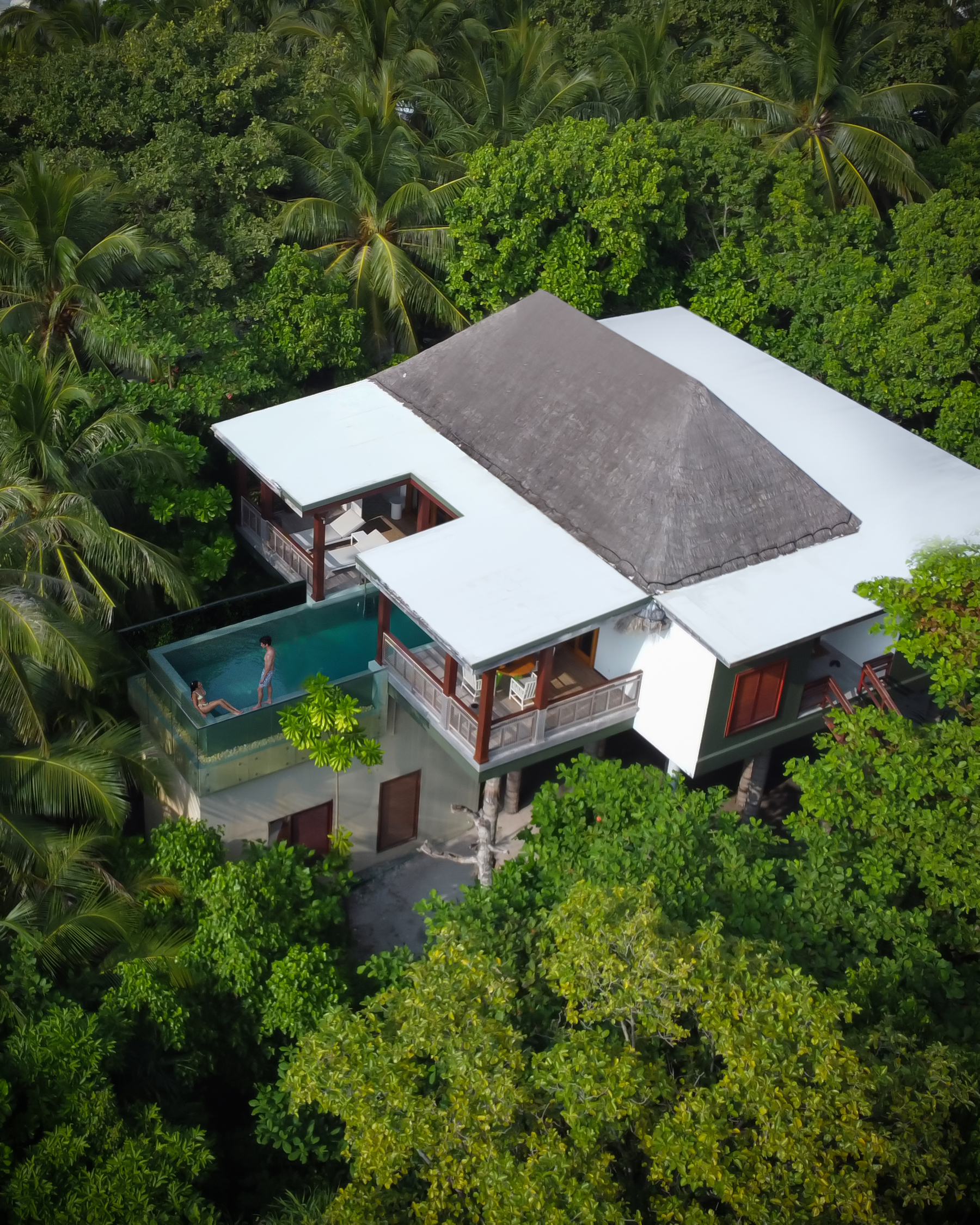 HDHotelMaledivenAmilla MaldivesAmilla Treetop
