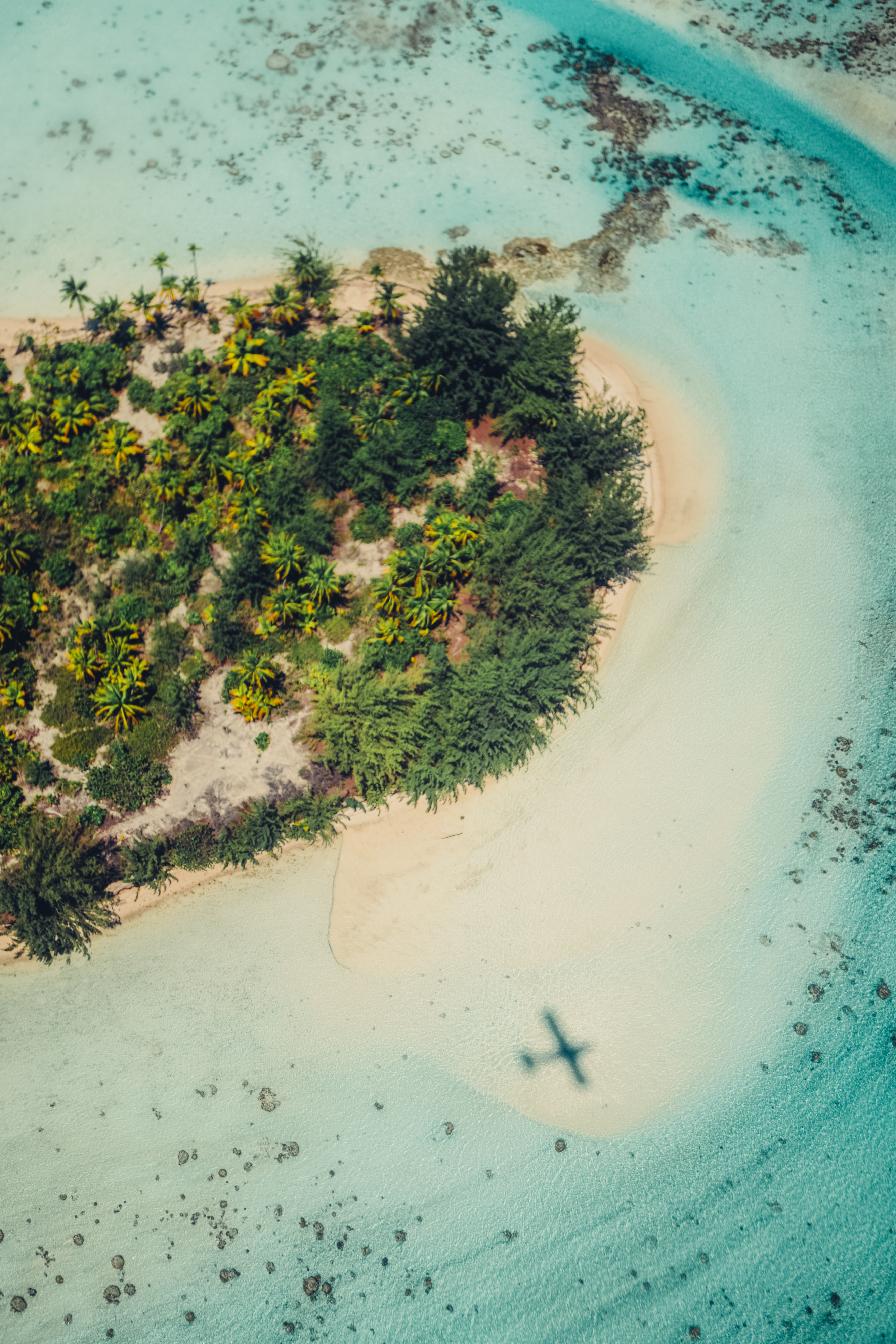 HDHotelFranzoesisch PolynesienThe BrandoAreal11