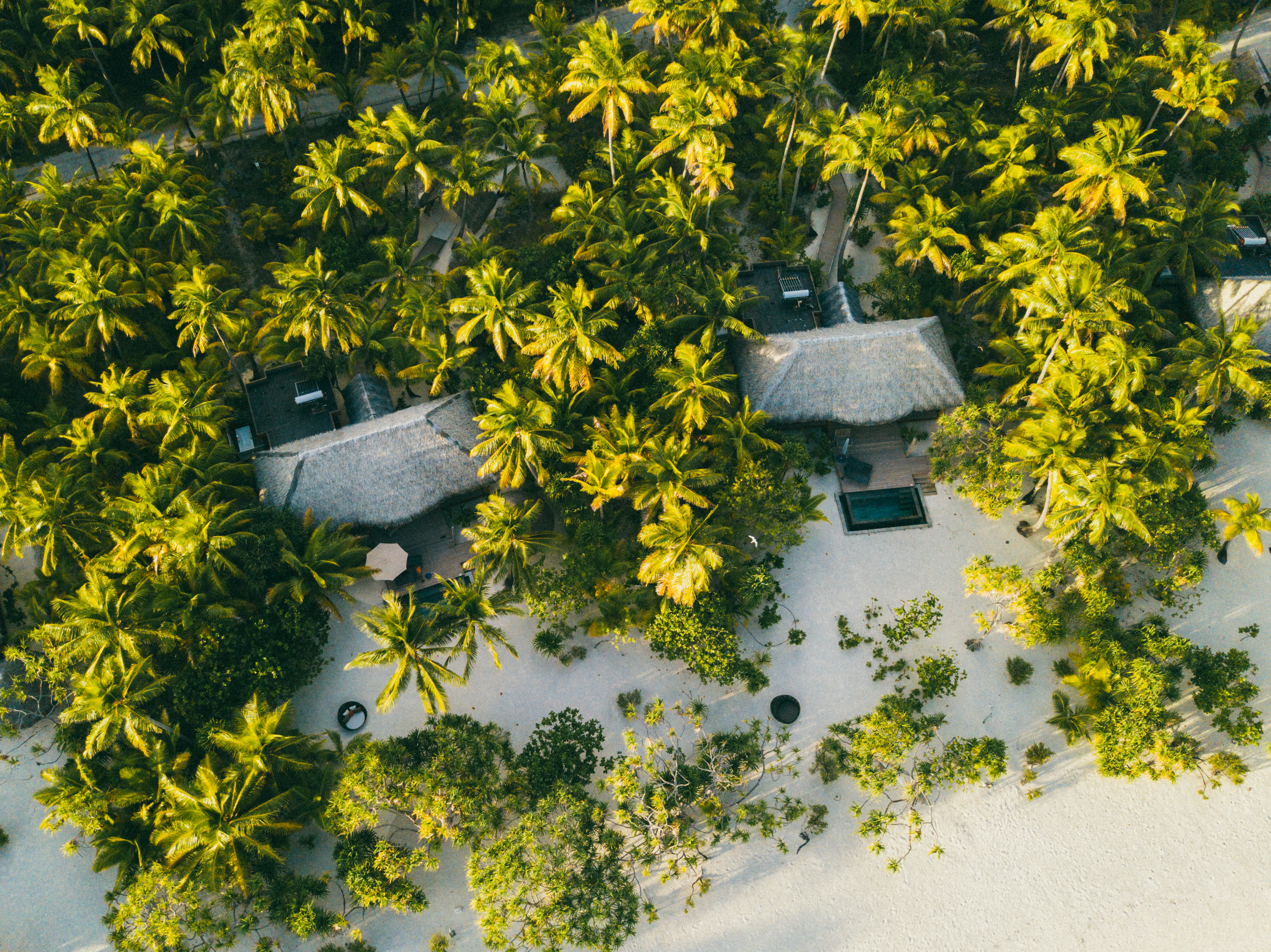 HDHotelFranzoesisch PolynesienThe BrandoAreal16