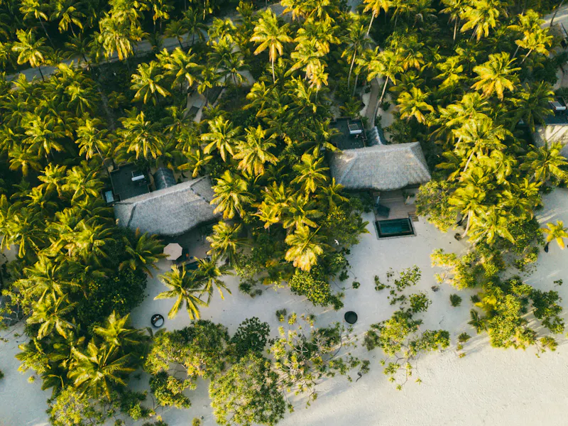 HDHotelFranzoesisch PolynesienThe BrandoAreal16