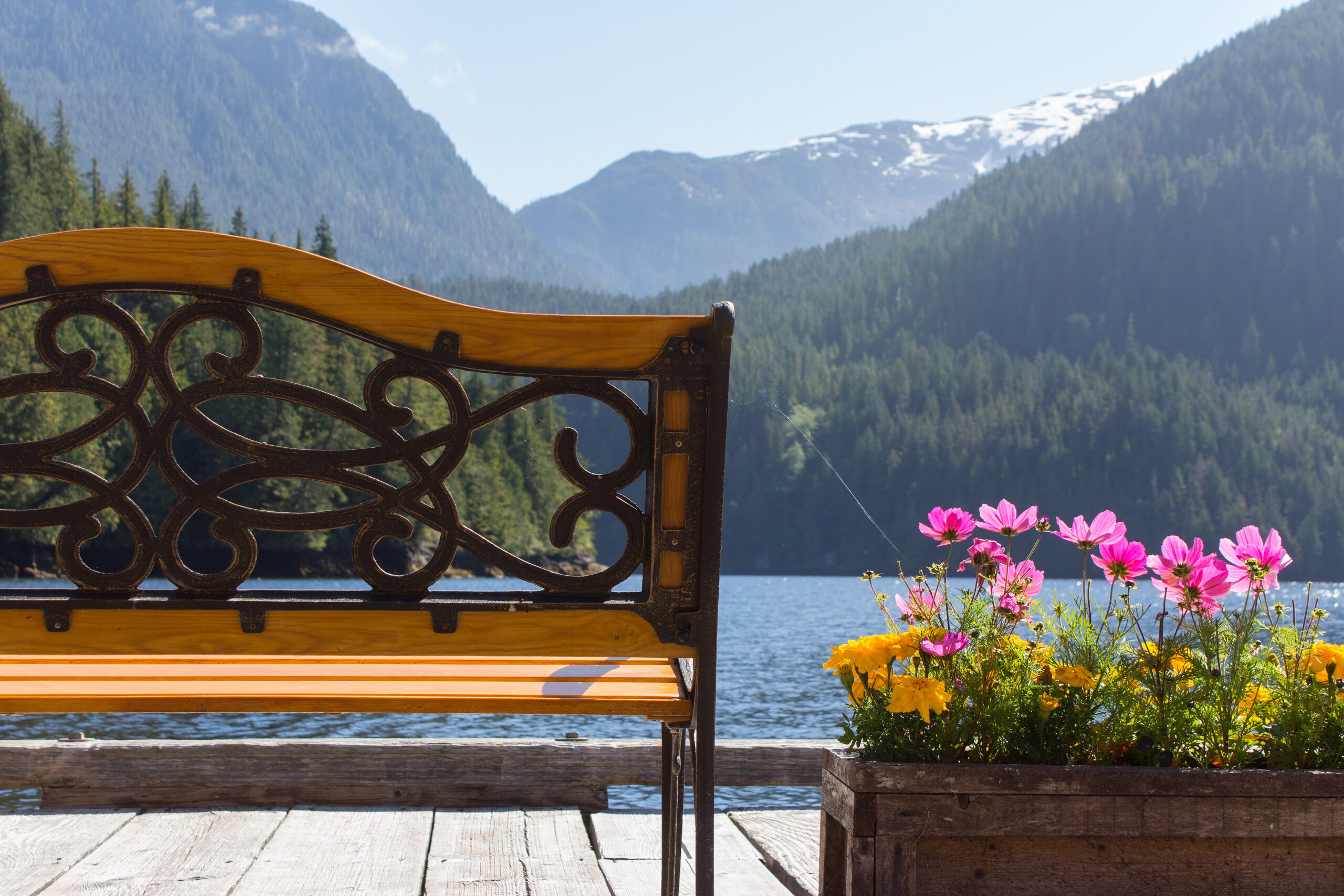 HDBritish ColumbiaGreat Bear LodgeBEAPH4 exterior 021