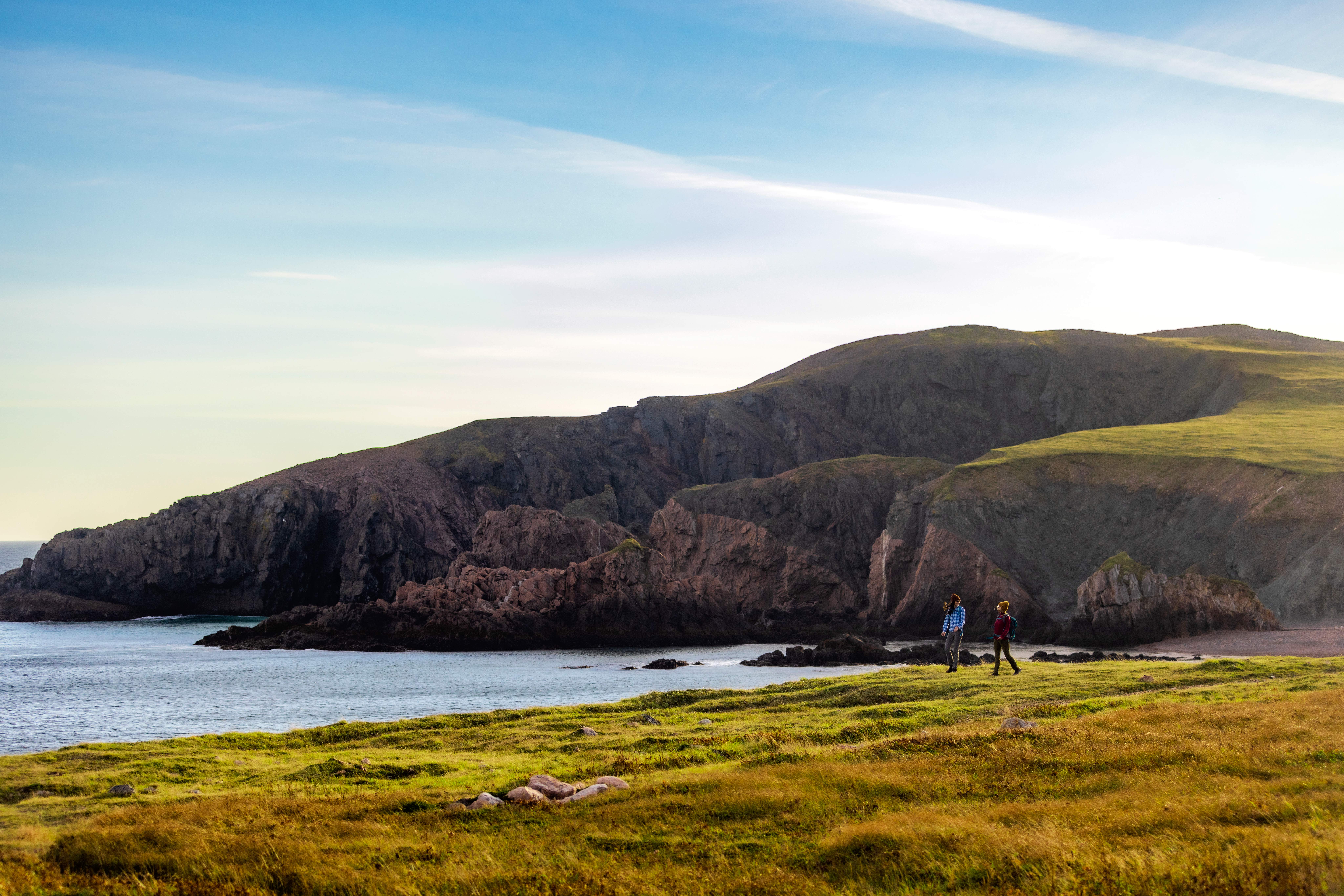 HDNewfoundlandchamberscove