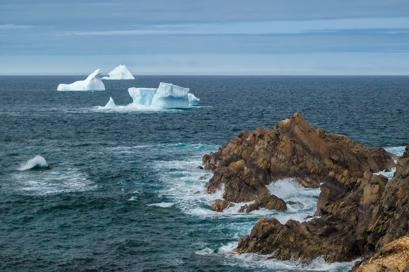 HDNewfoundlandIceberg Alley 006 3 1996 NFL