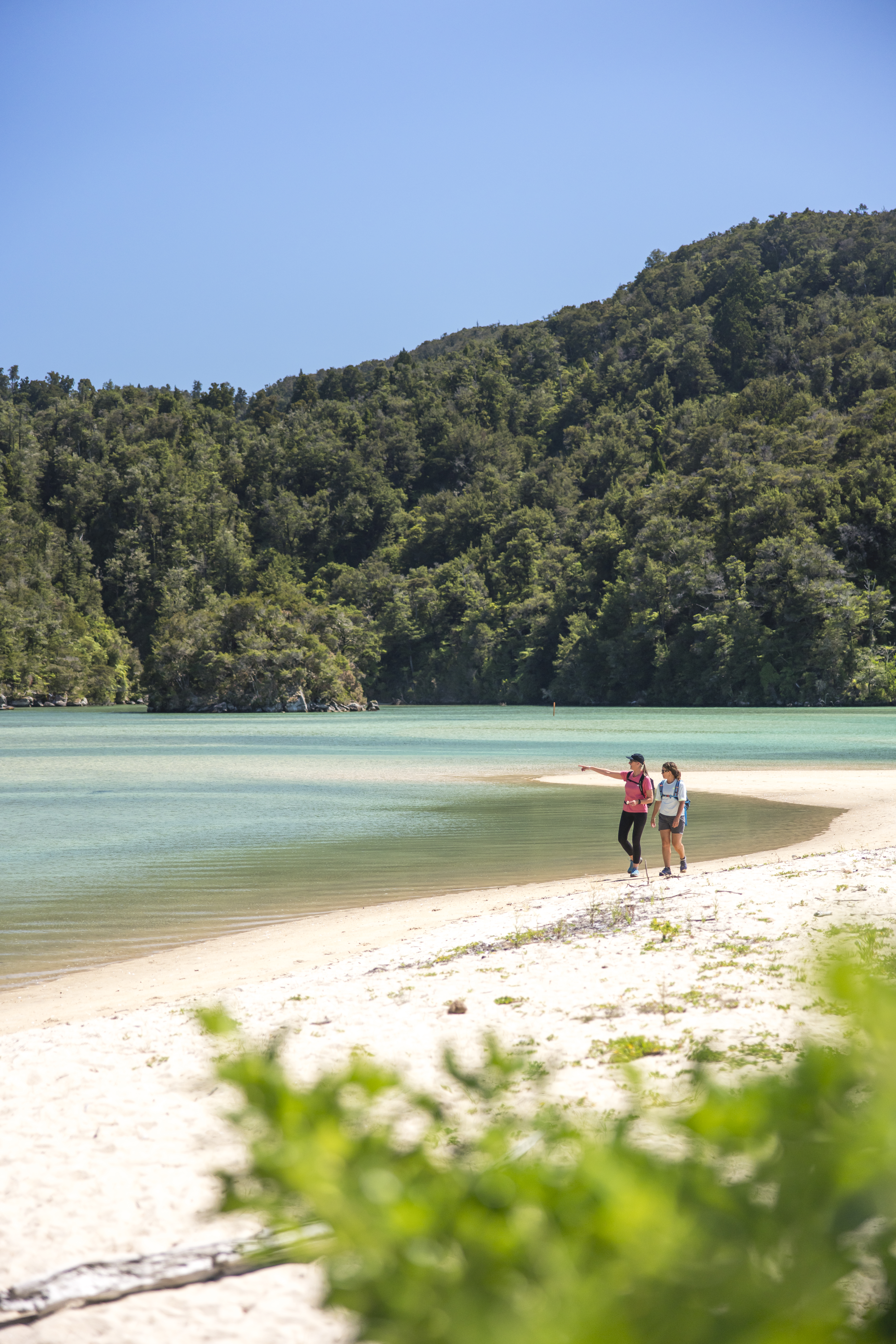 Abel Tasman National Park