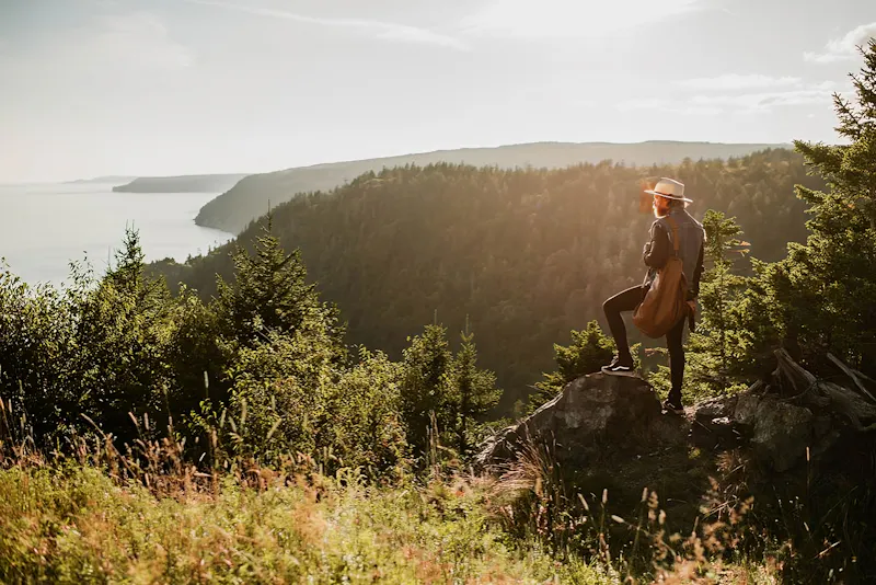 Fundy Scenic Lookout