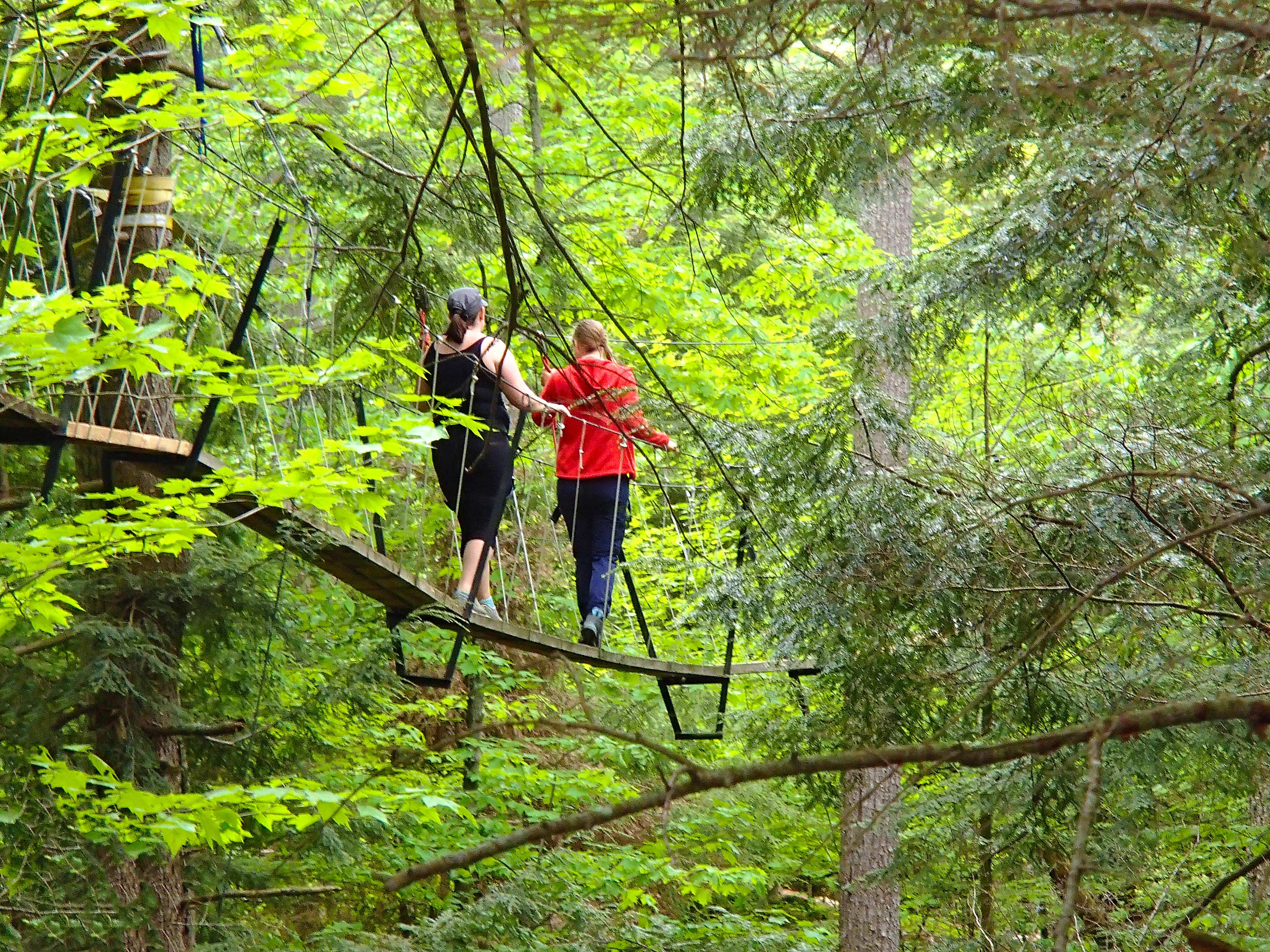 Canopy Walk