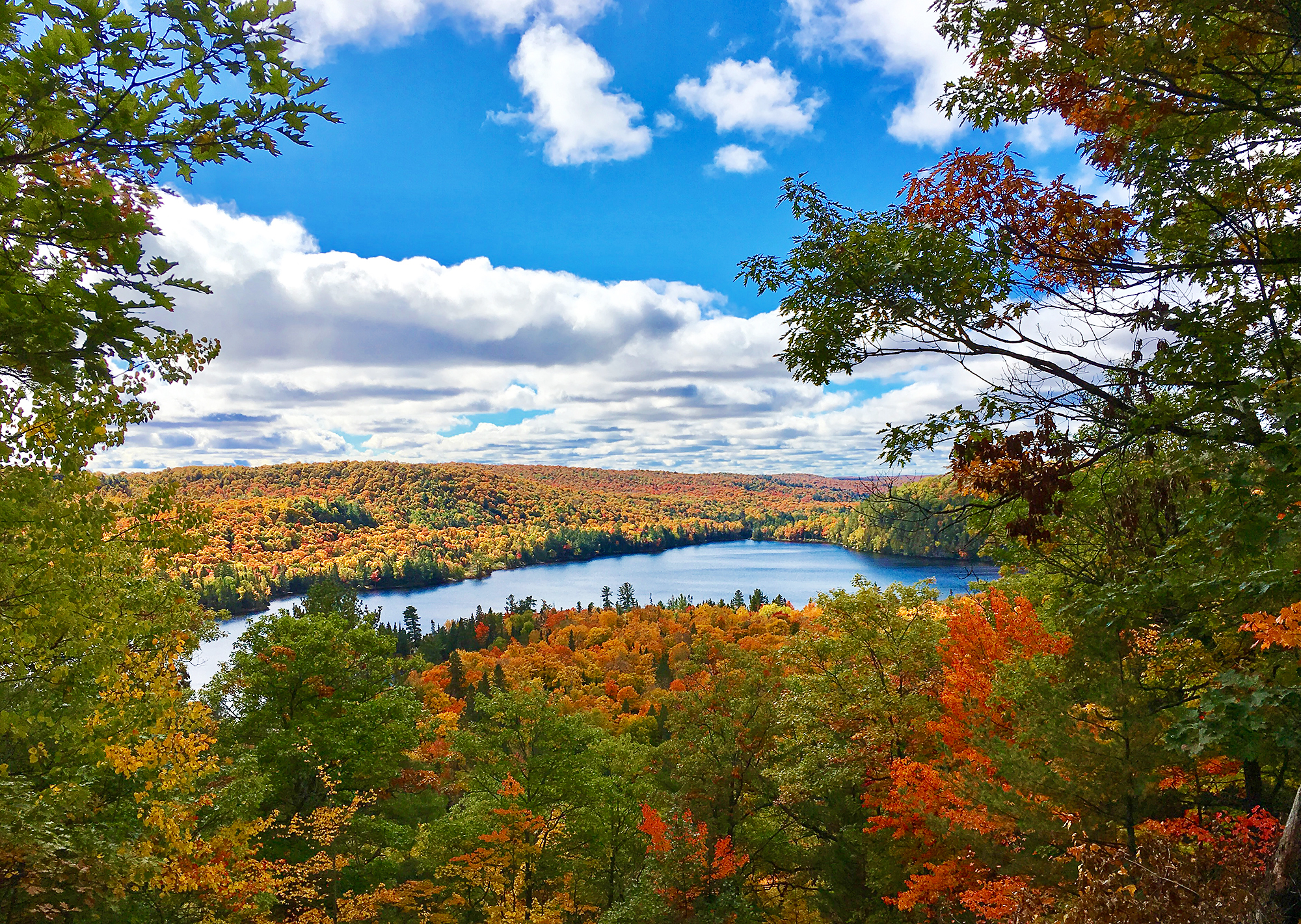 Haliburton Forest