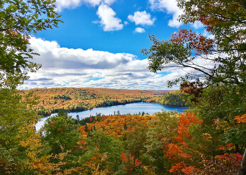 Haliburton Forest