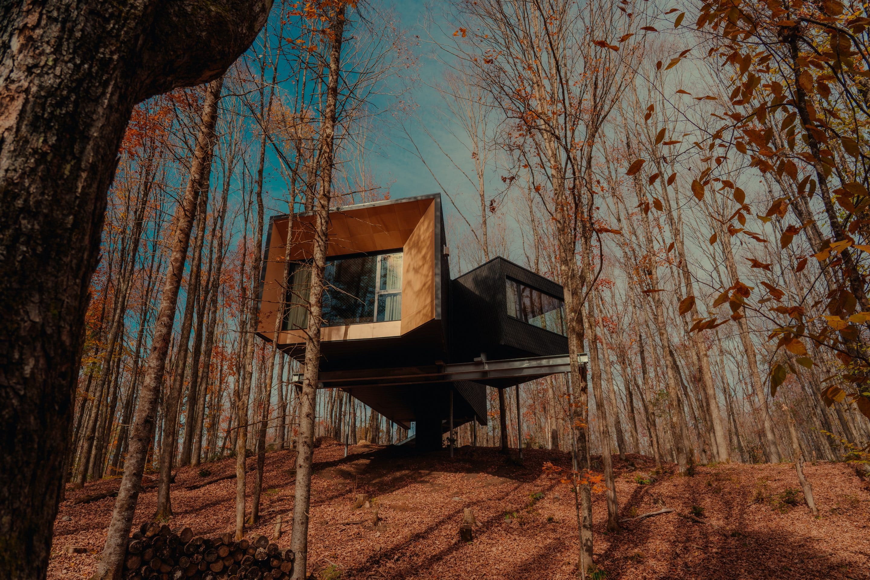 HDHotelOntarioFort Tree HouseAussen ON AC5104 3 scaled
