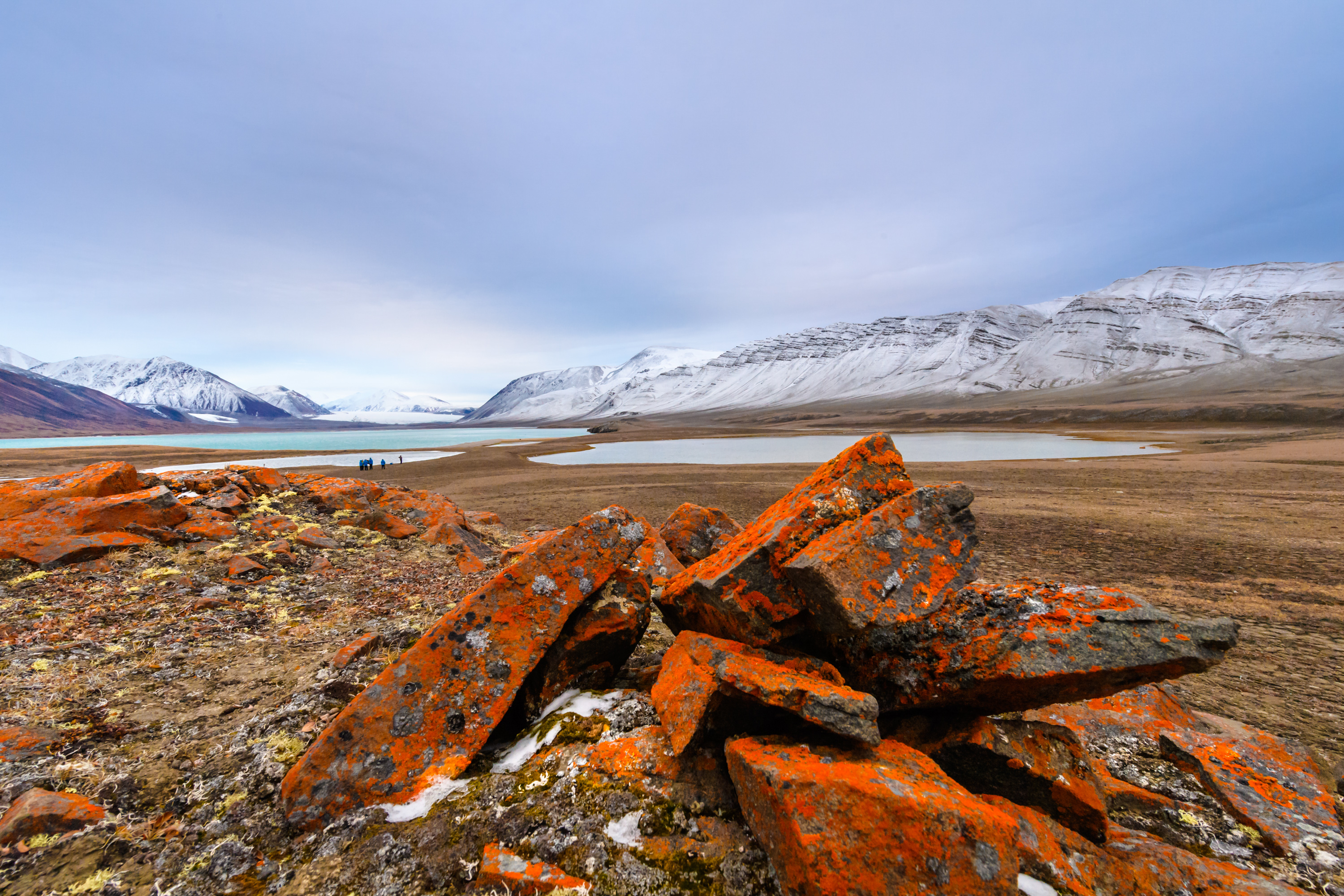 HDKreuzfahrtAdventure CanadaNW PassageBylot Island 035 Craig Minielly ADC