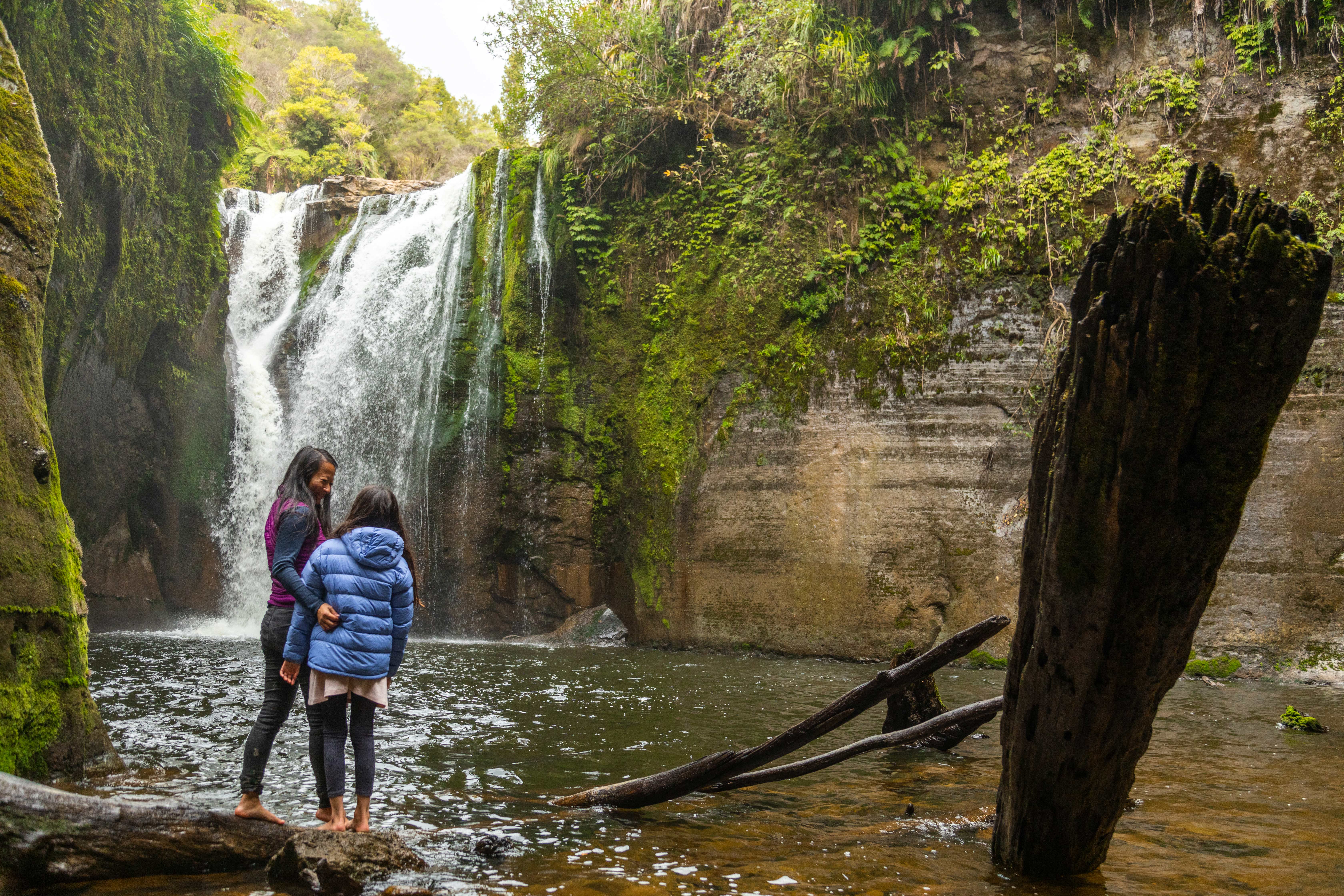 HDNeuseelandWhanganuiblue duck station waterfalls 204863
