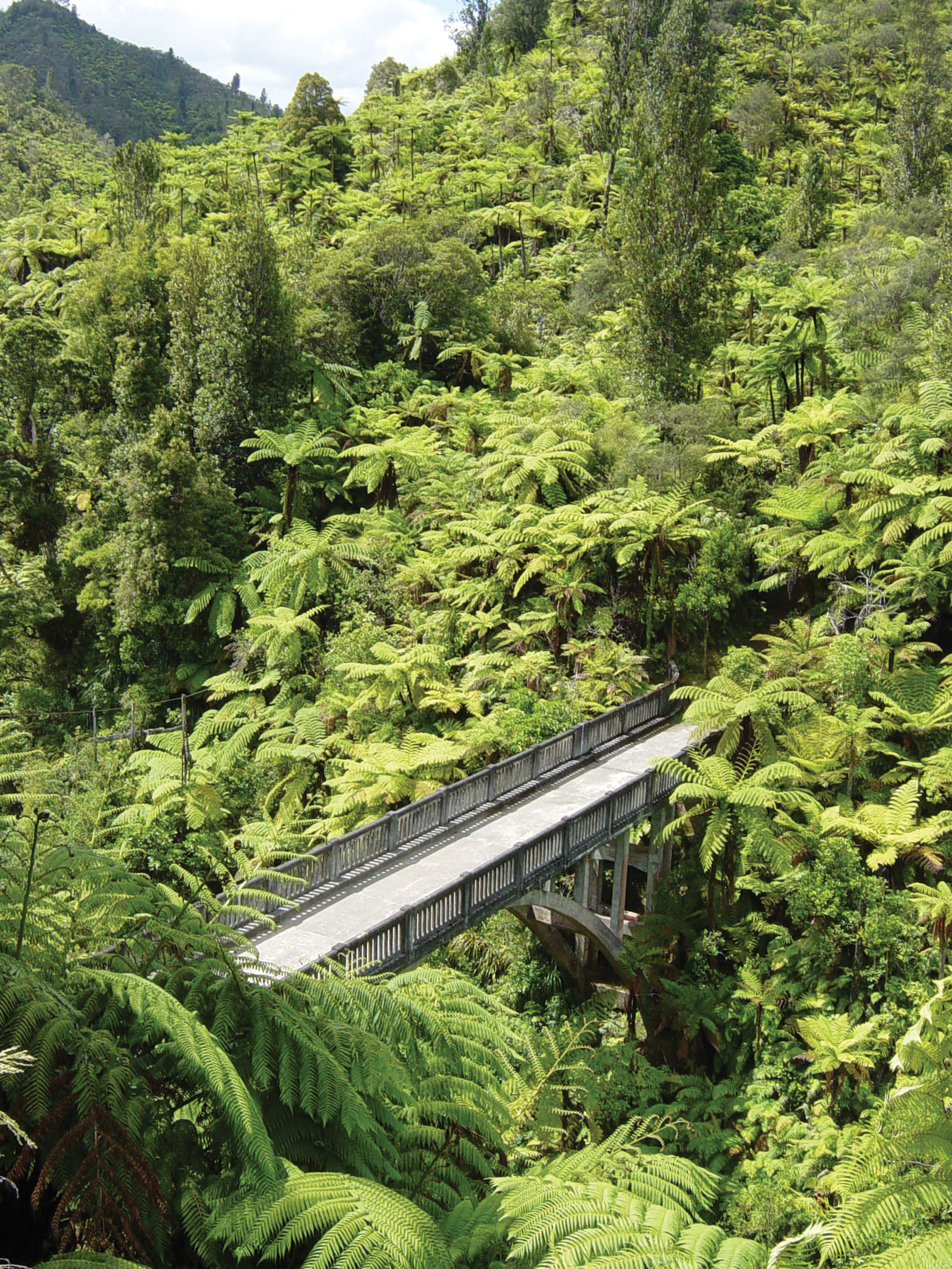 HDNeuseelandWhanganuibridge to nowhere 1 204656