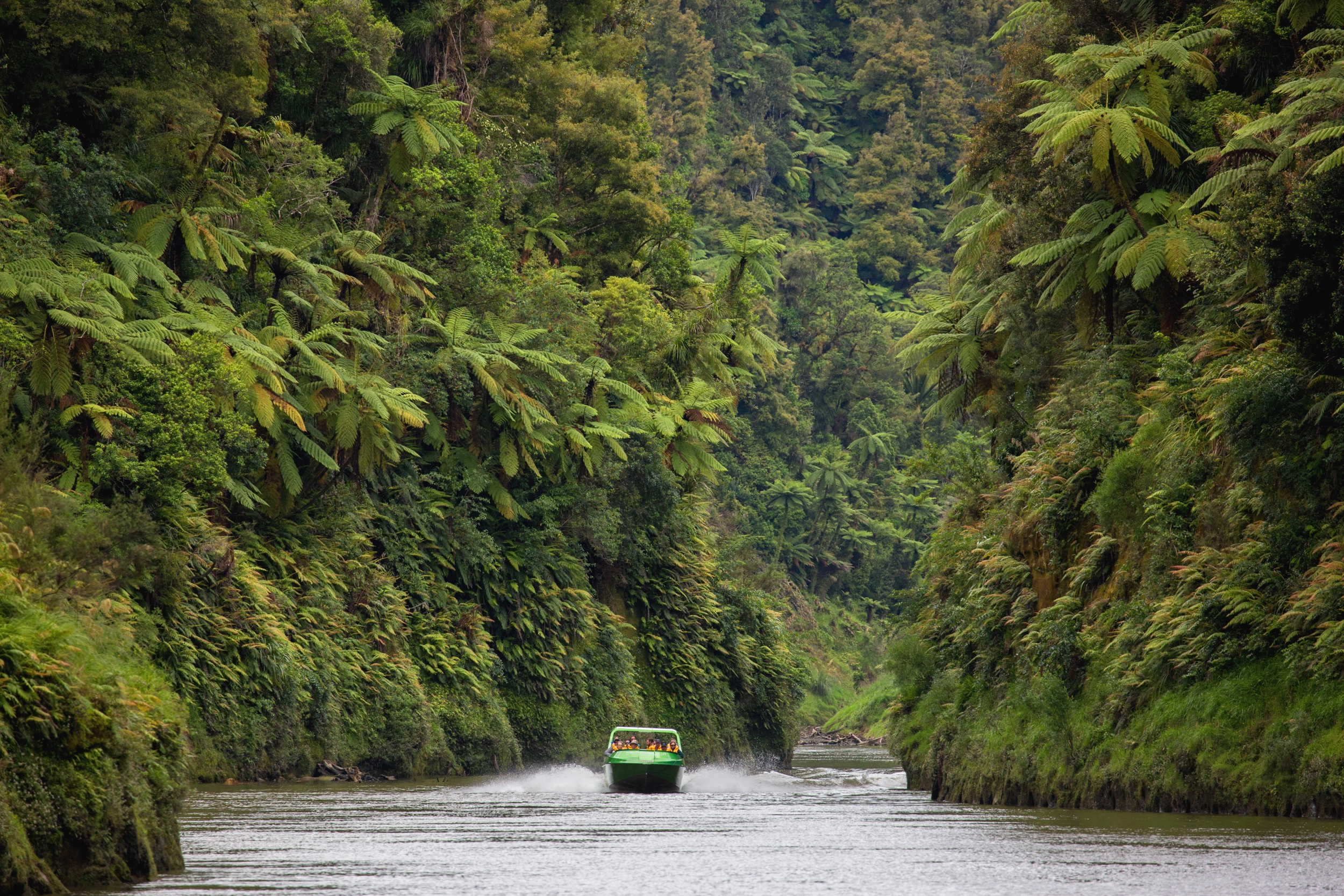 HDNeuseelandWhanganuiwhanganui river jetboat 204817