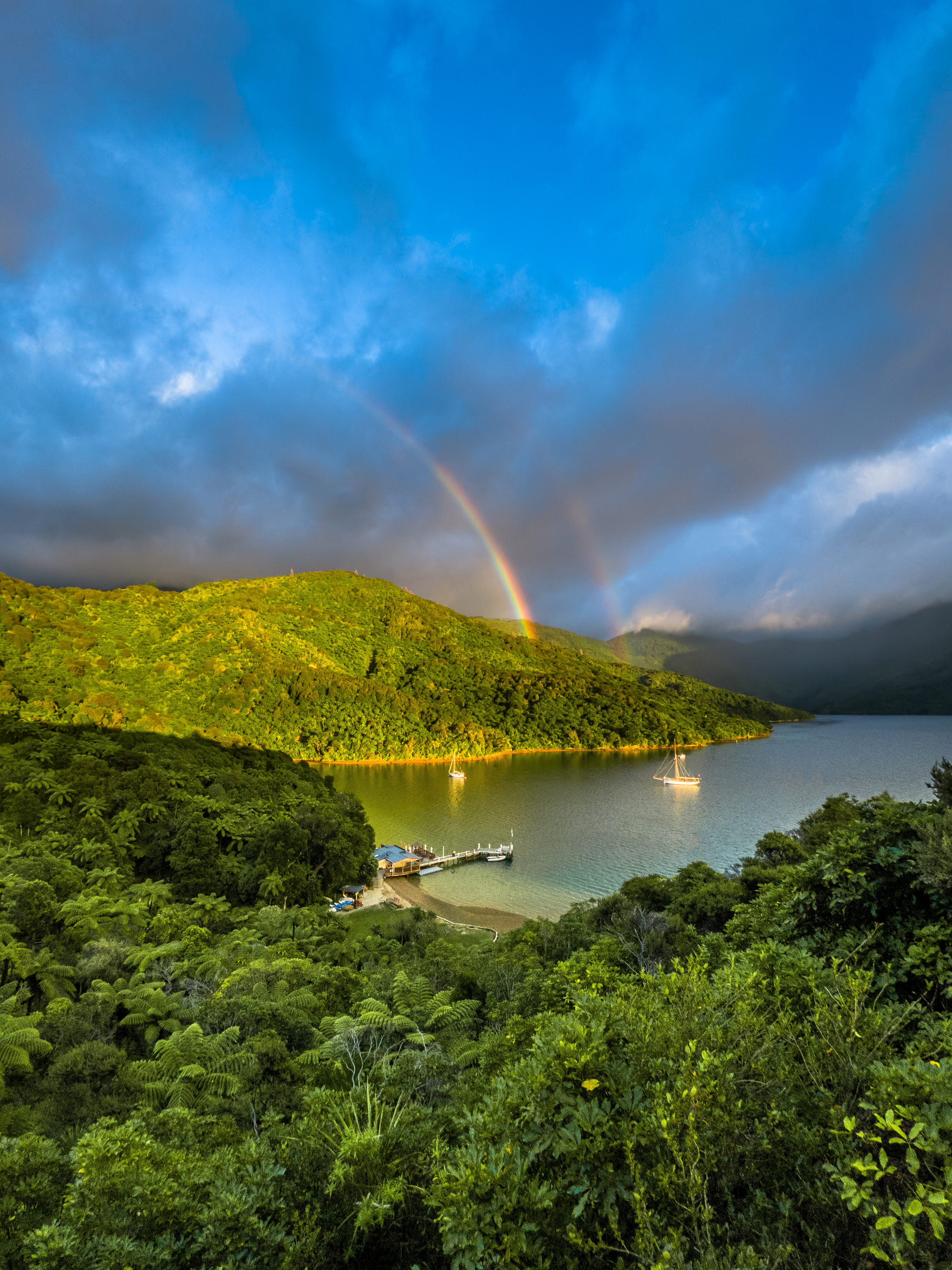 HDNeuseelandMarlboroughPunga cove 429500