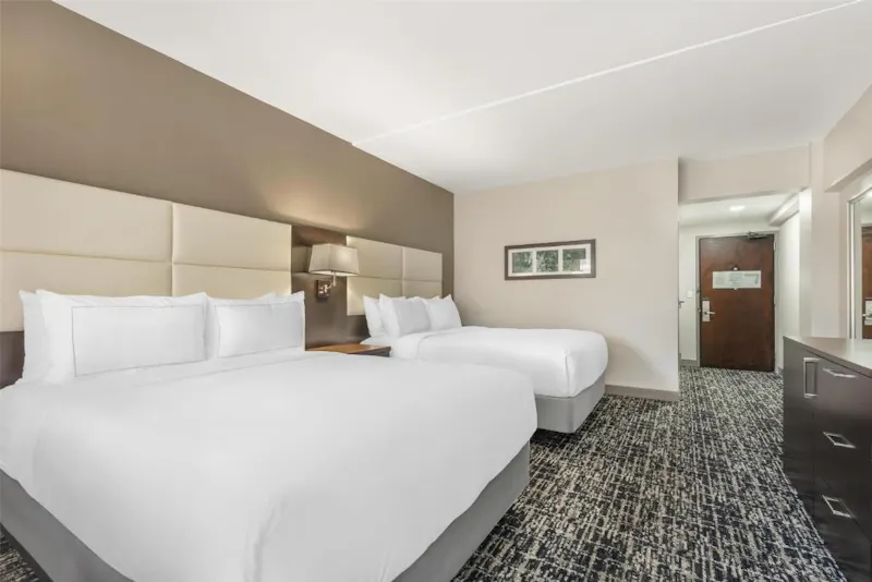 HotelVirginiaWilliamsburgDoubletree Hotel WilliamsburgZimmer