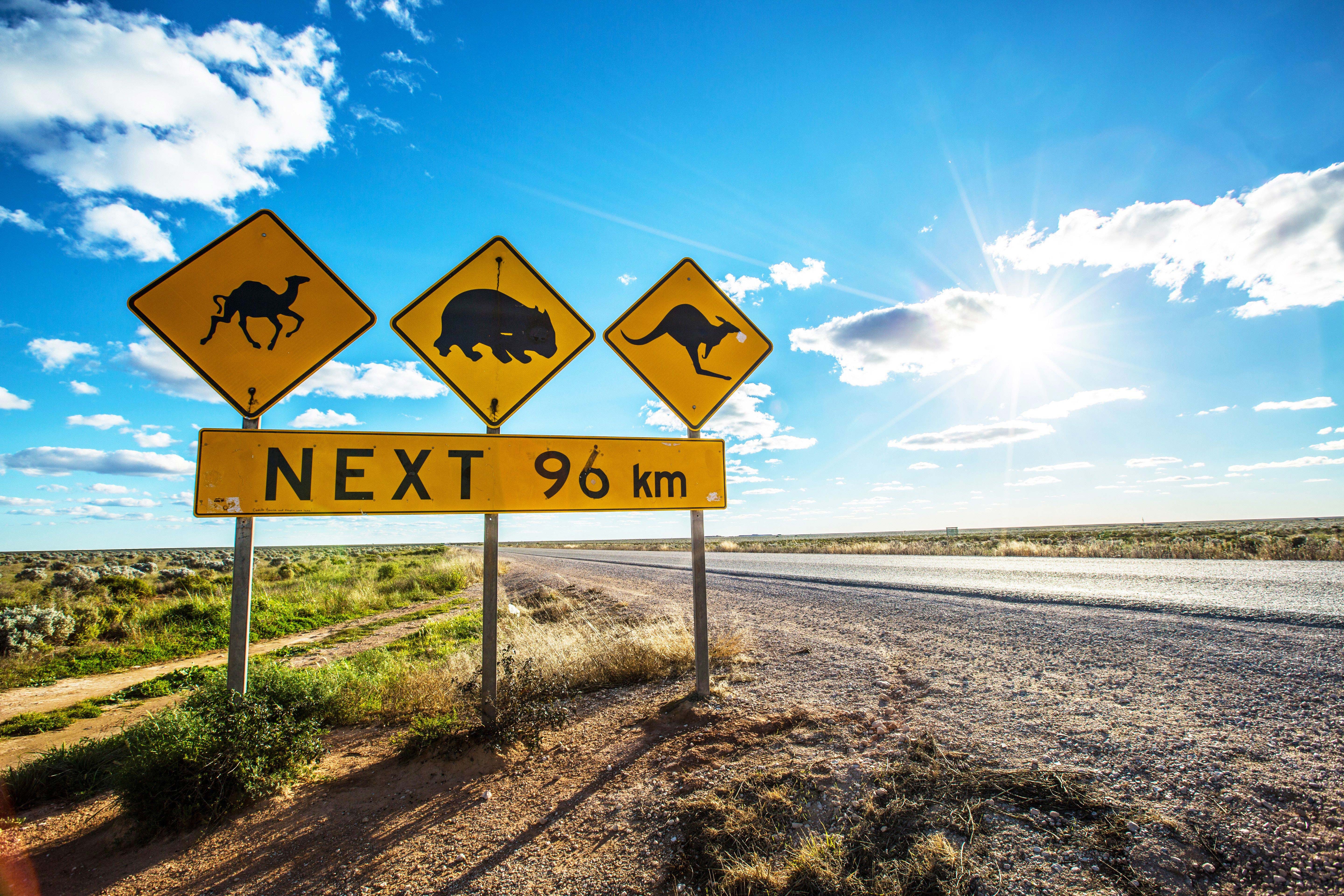 Nullarbor Highway