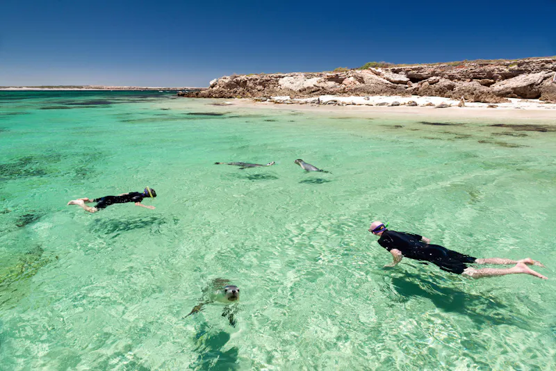 Baird Bay, Eyre Peninsula