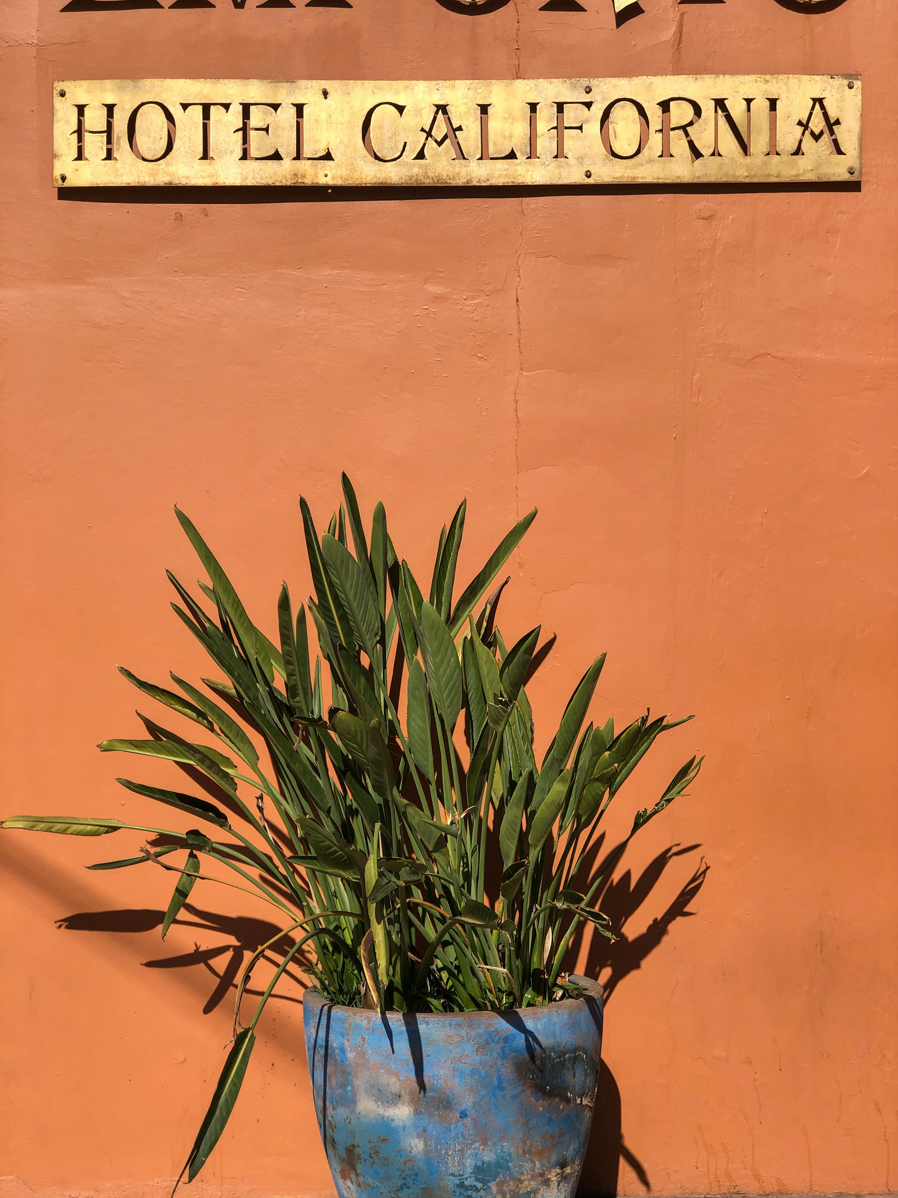 HDMexikoBaja CaliforniaHotel California maria fuentes L dCk5ycZPg unsplash