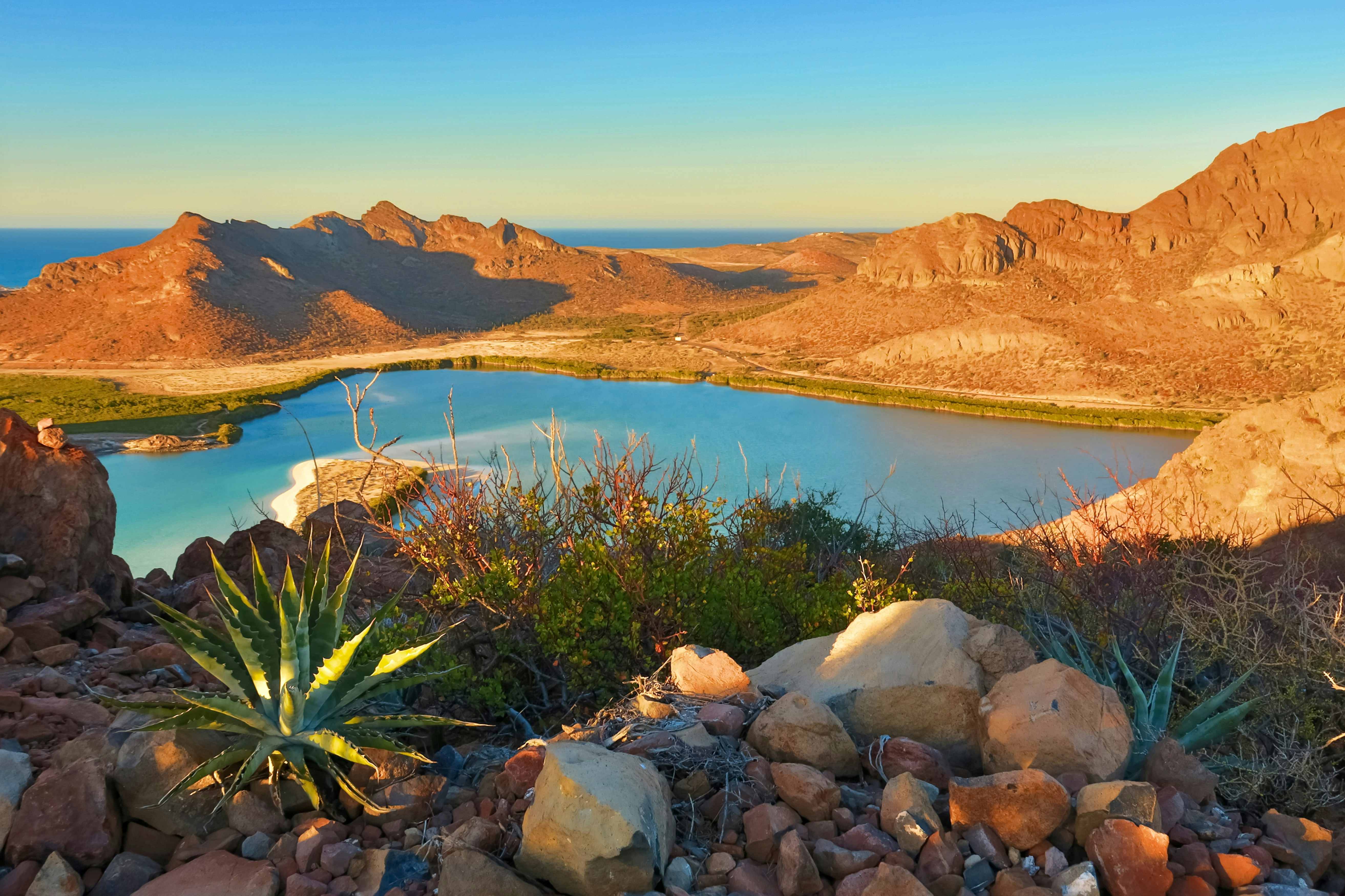 Balandra Beach, La Paz