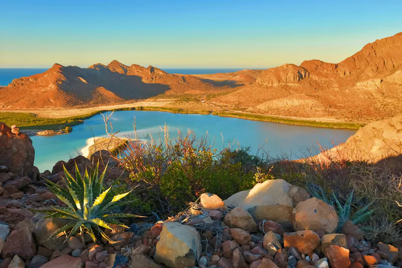 Balandra Beach, La Paz